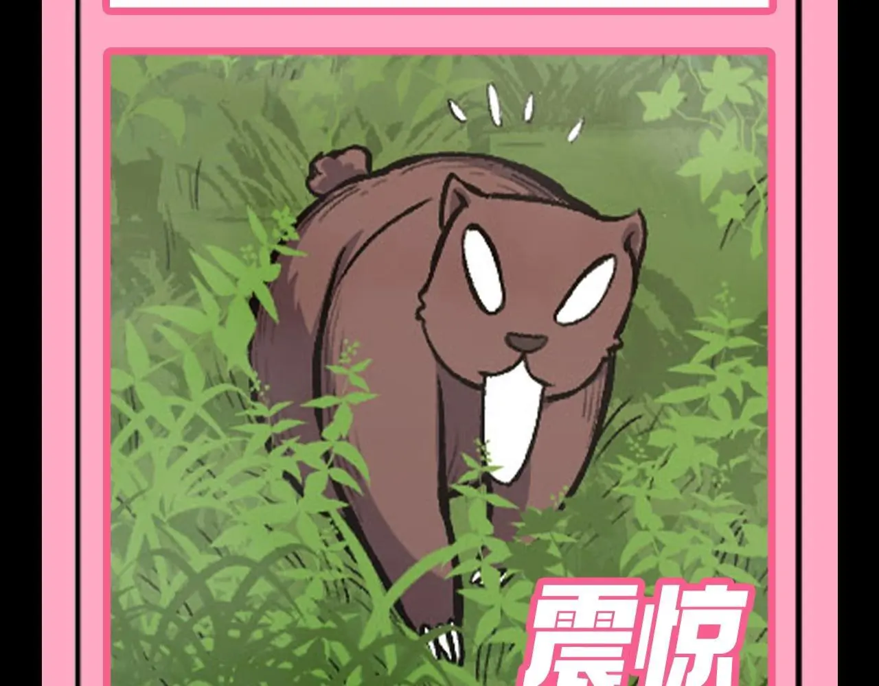第7期 动物表情包来啦！！5