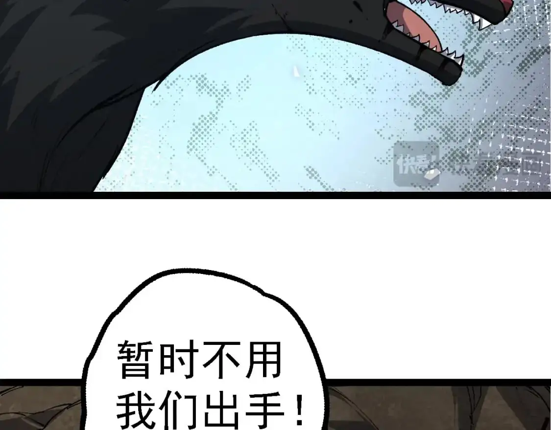 第149话 闪光战虎130