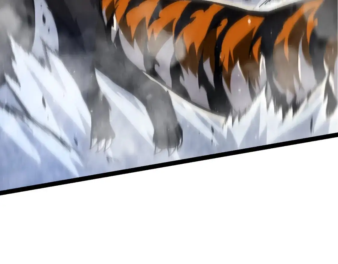 第149话 闪光战虎69