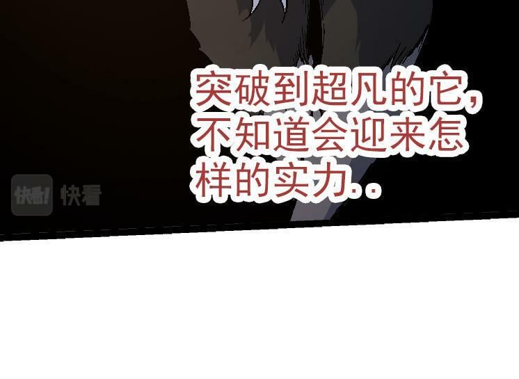 第42话 全力输出的力量133