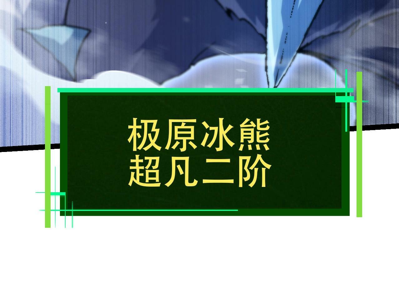 第84话 狩猎开始！熊猫的首秀123
