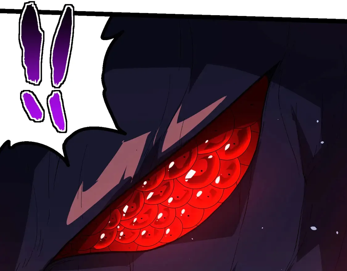 第204话 澳创vs黑暗30
