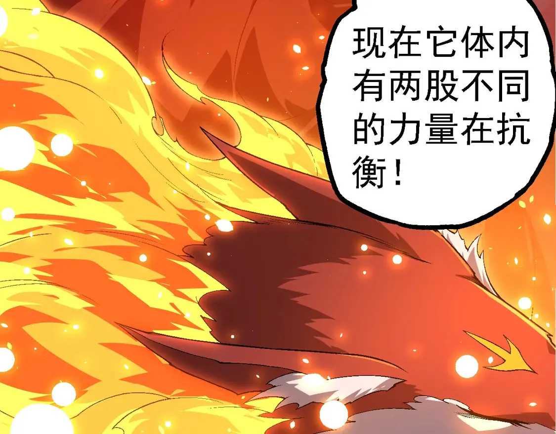 第190话 最强熊猫57