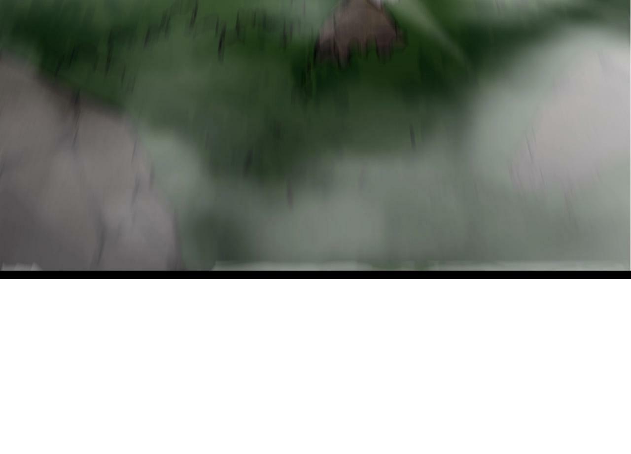 第76话 树界降临63