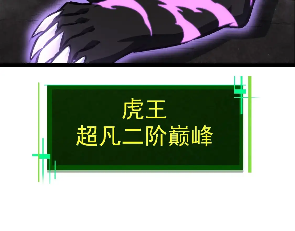 第149话 闪光战虎141