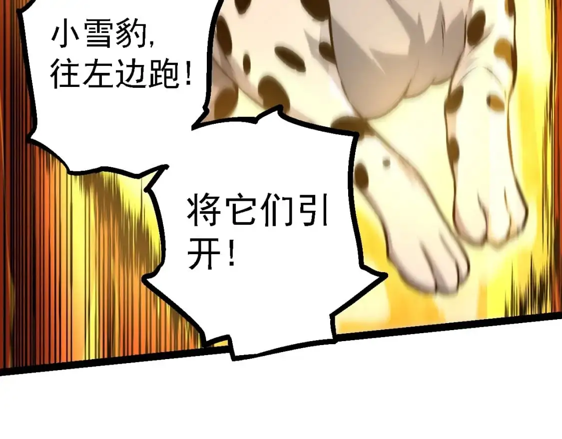 第142话 超凡三阶的来客70