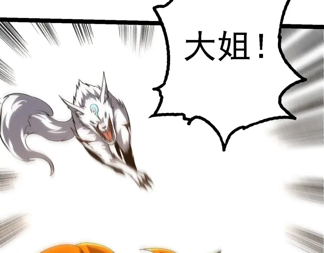 第149话 闪光战虎48