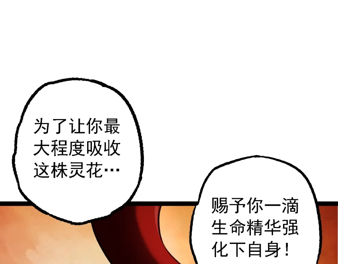 第167话 即将来临的第三次灵力潮汐6