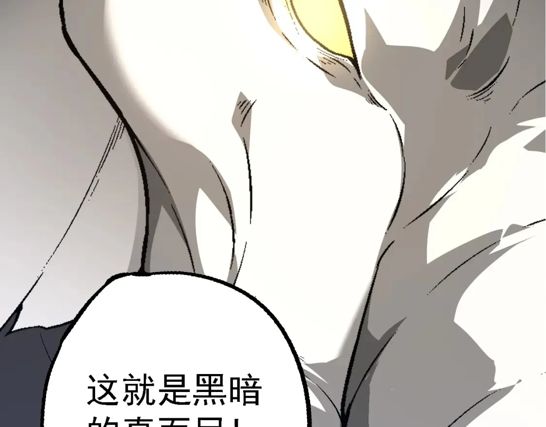 第164话 黑暗的真相88