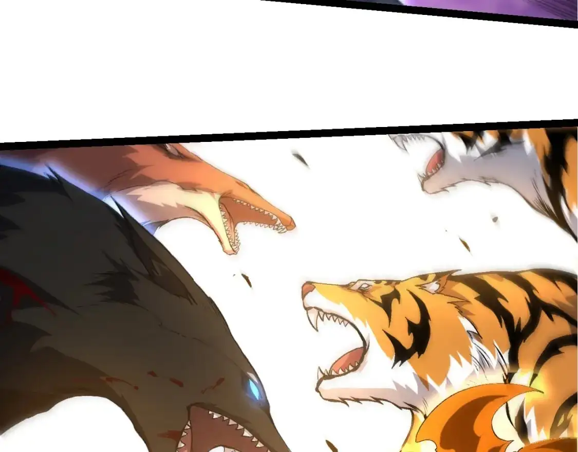 第149话 闪光战虎40