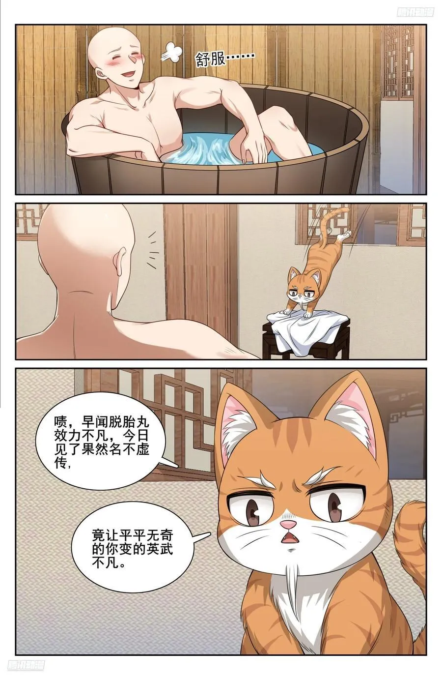 293大卤蛋11