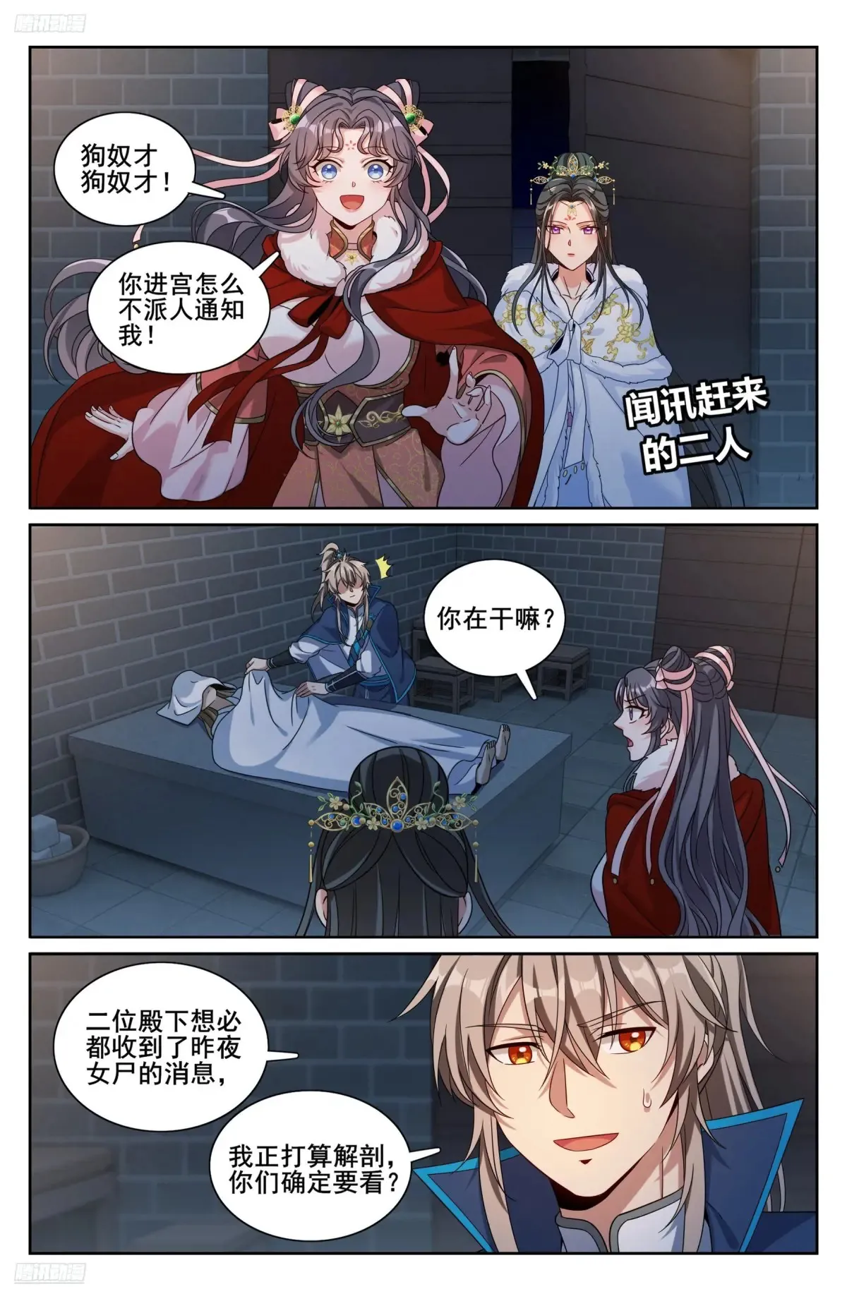 311解剖2