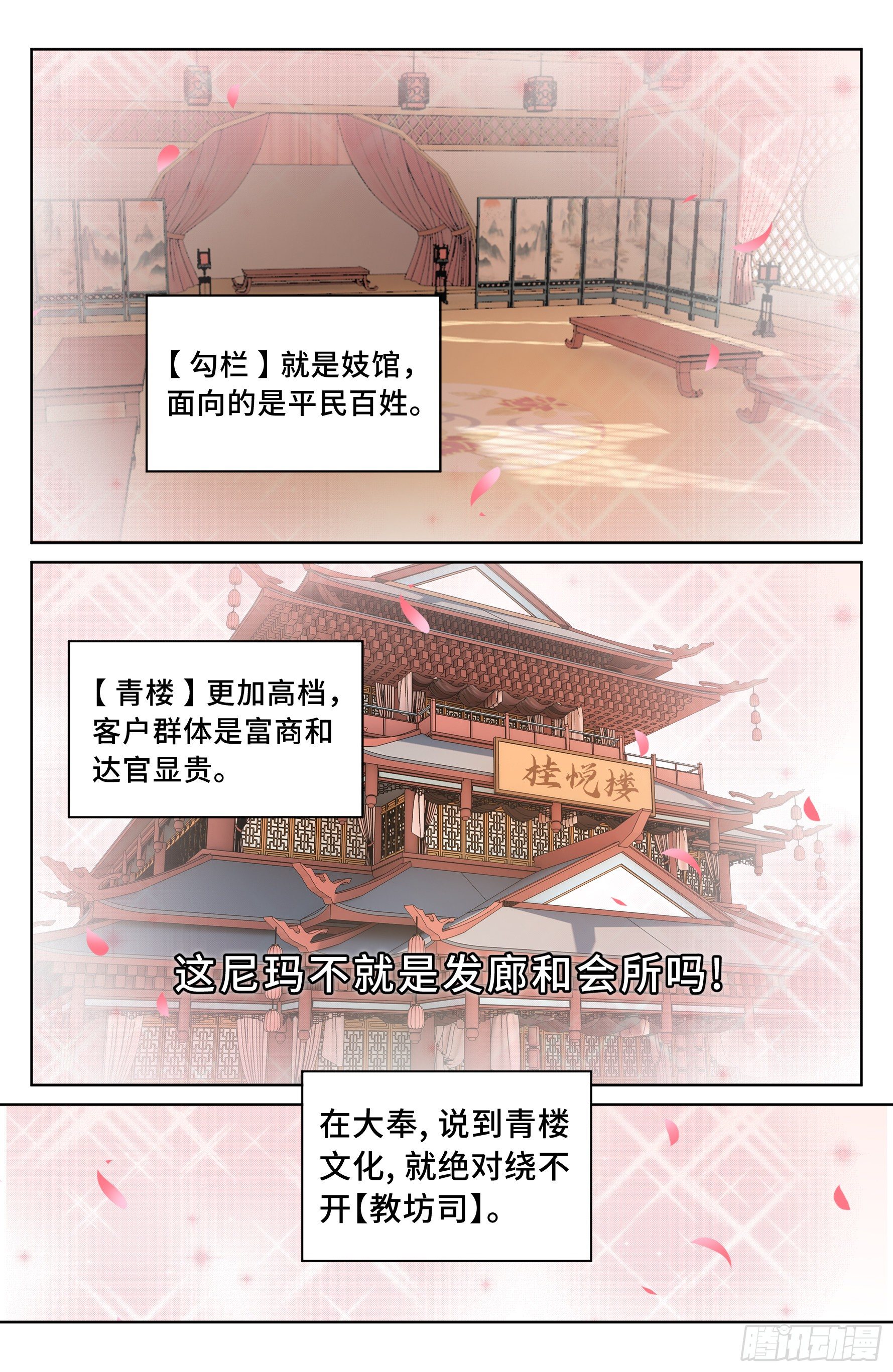 019雏鸡初成长10