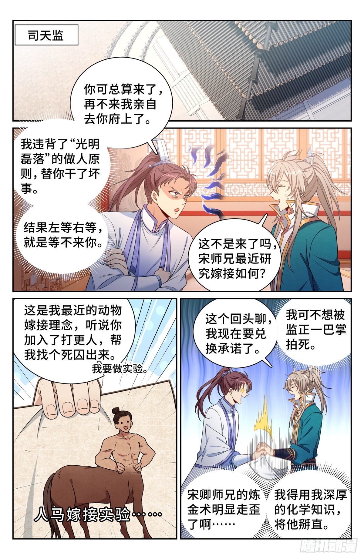 116青橘11