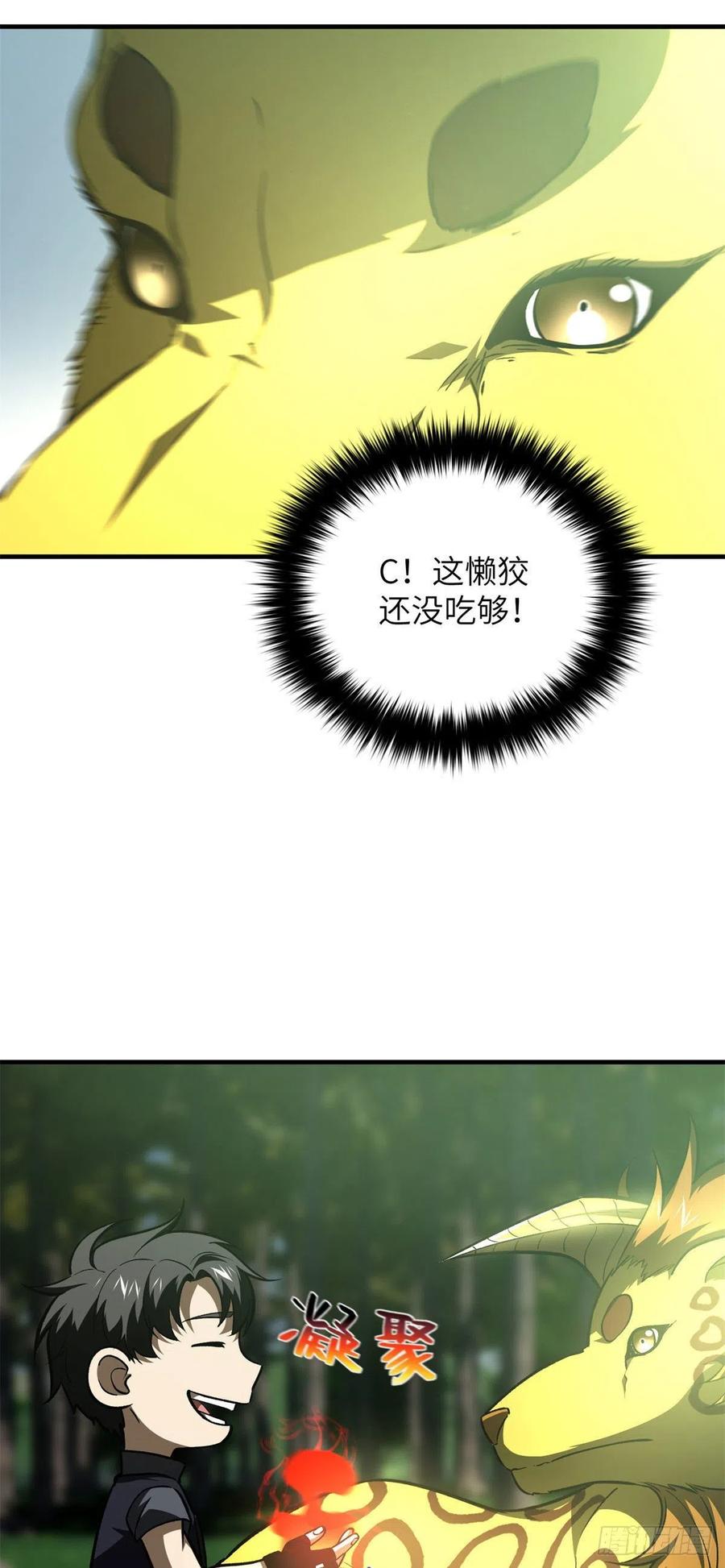 135 财路43