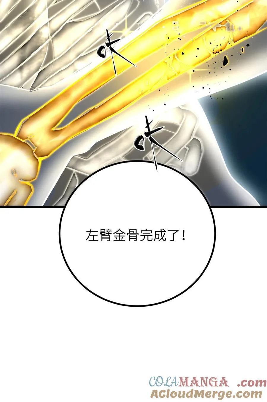 244 金骨蜕变15