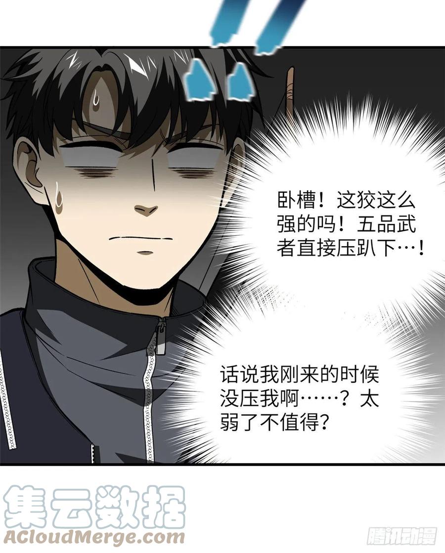 134 厨子54