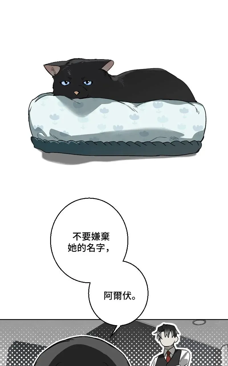第48话11