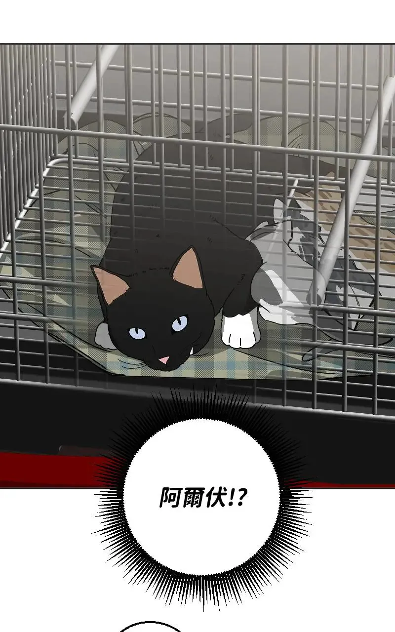 第45话26