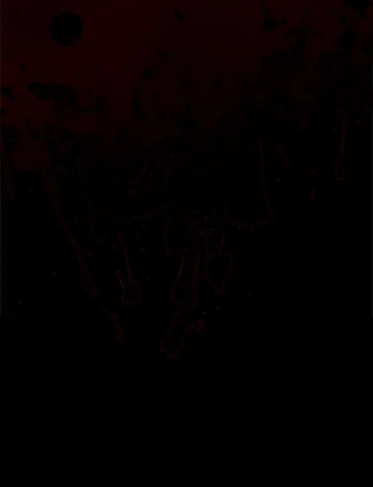 22.囚禁19