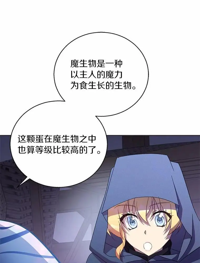 46.黑魔法公会29