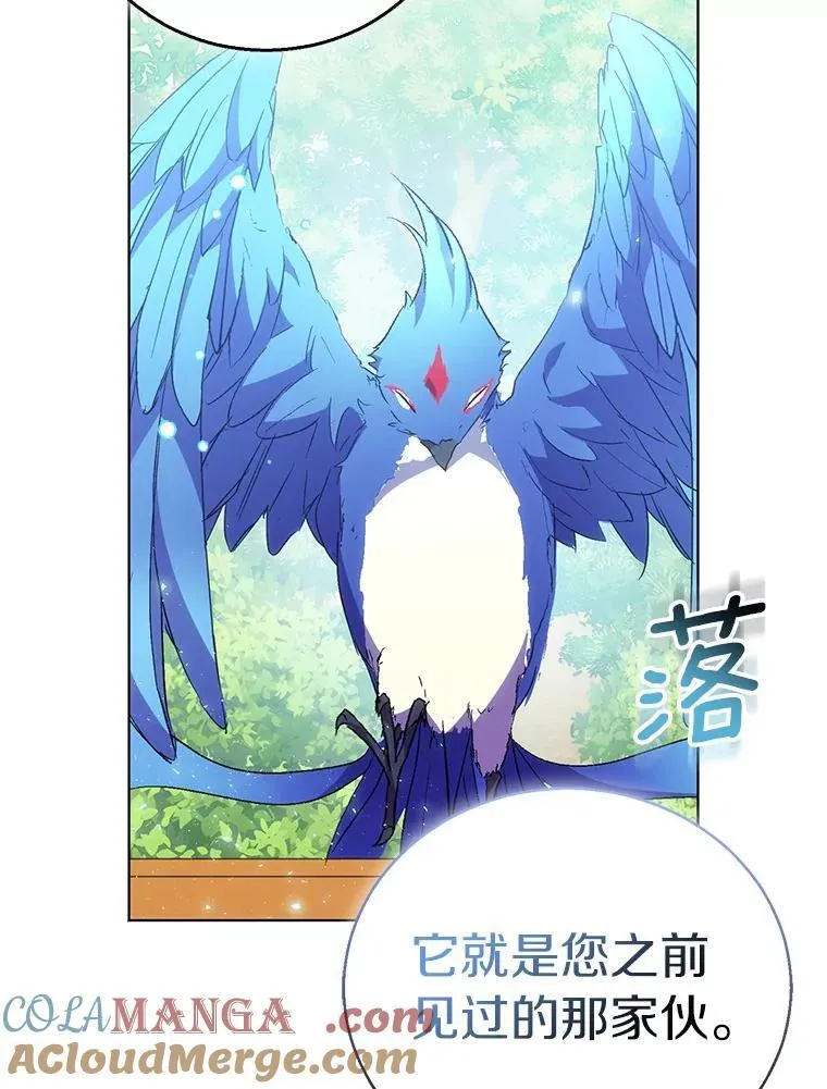 55.最佳旅伴52