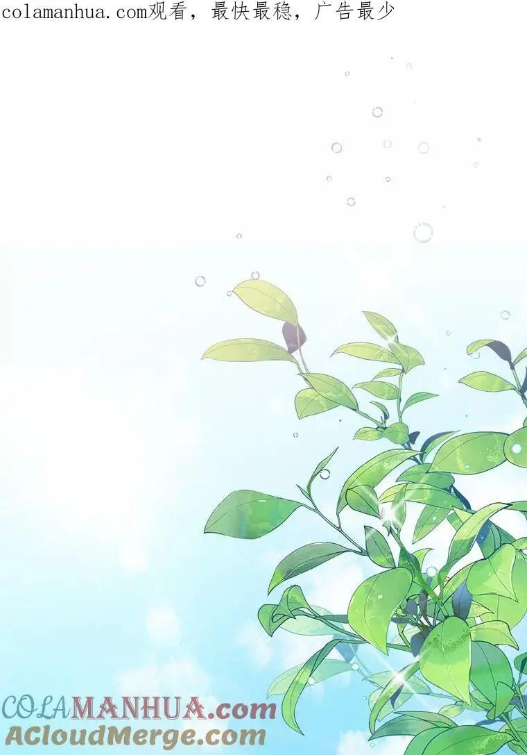 48.将计就计0