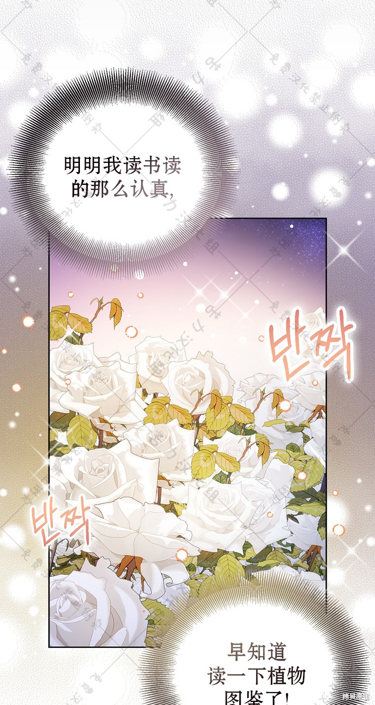 第30话24