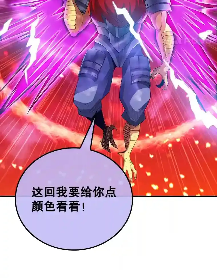 20.雷康鸡149