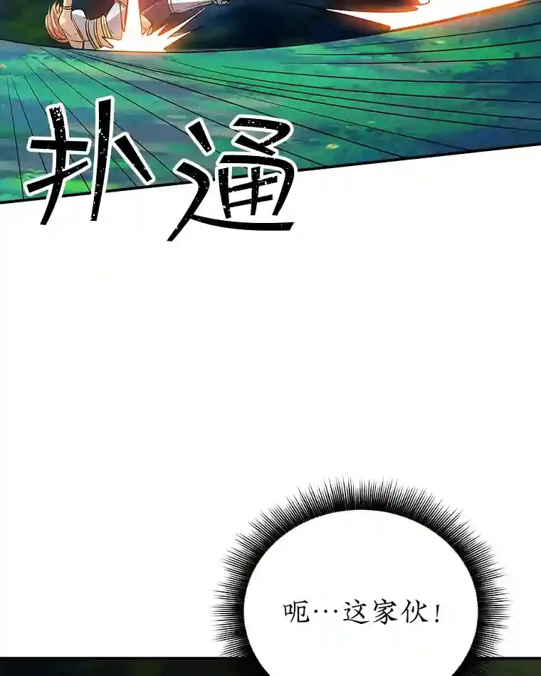20.雷康鸡108
