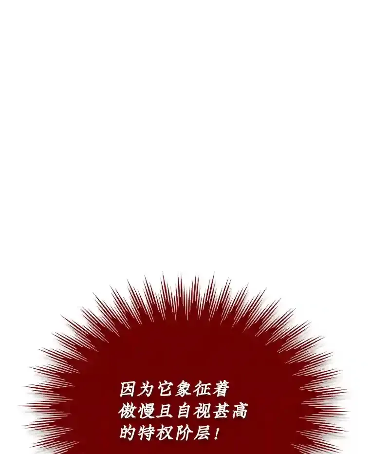 31.新江楠精英123