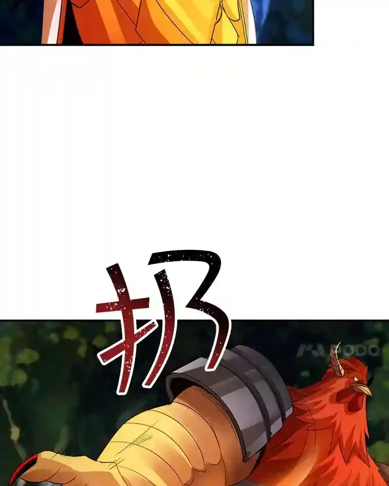 20.雷康鸡105