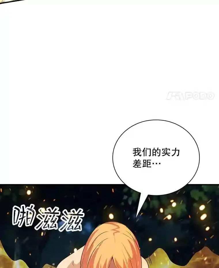 20.雷康鸡85