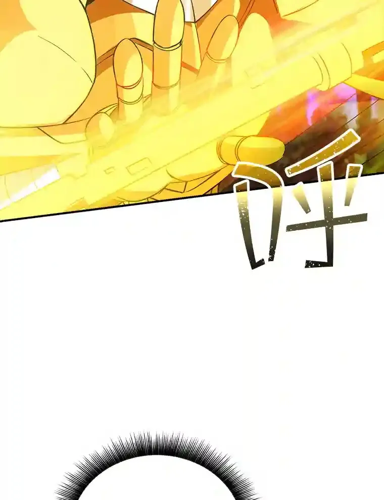 20.雷康鸡113