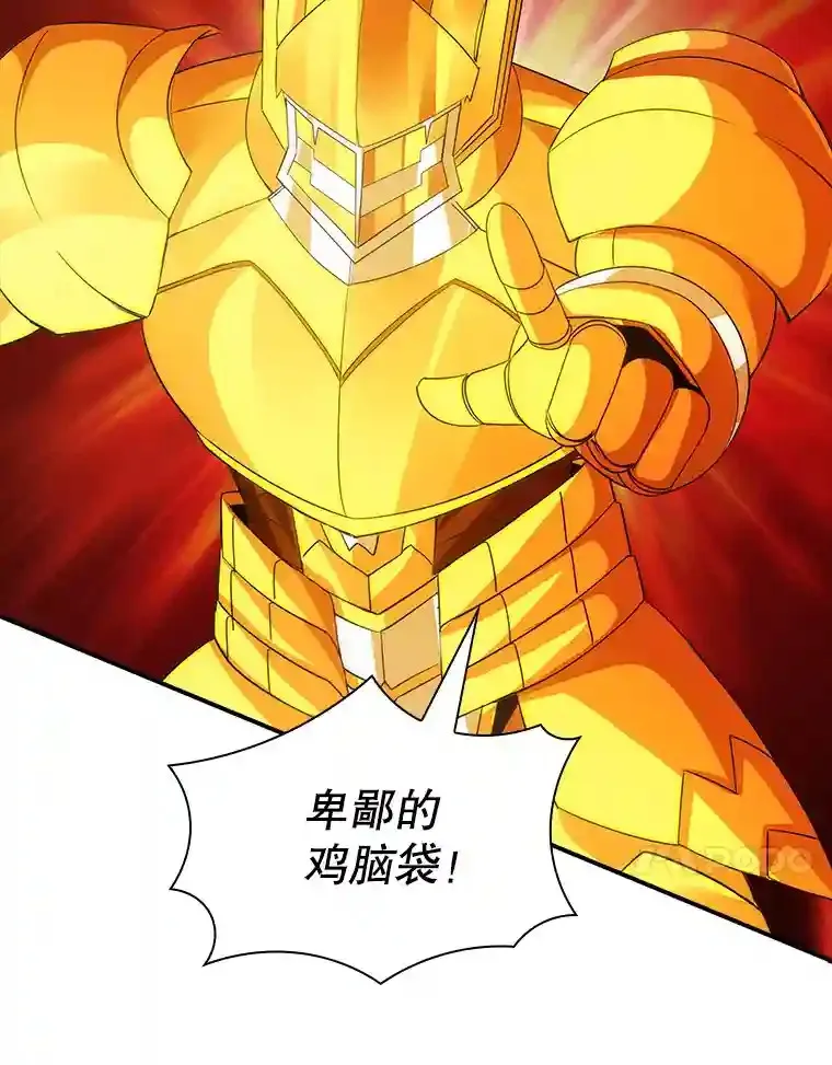 20.雷康鸡145