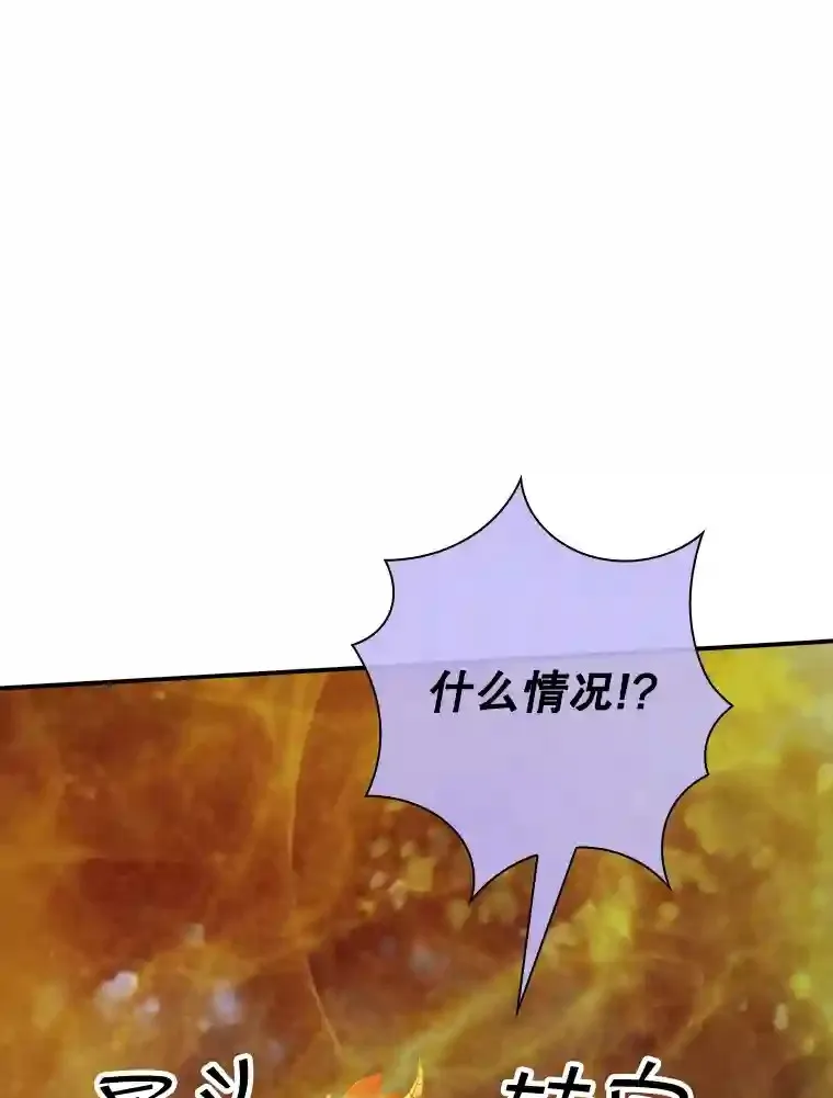 20.雷康鸡69