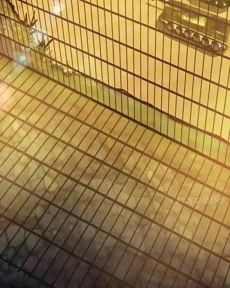 19.大暴动121