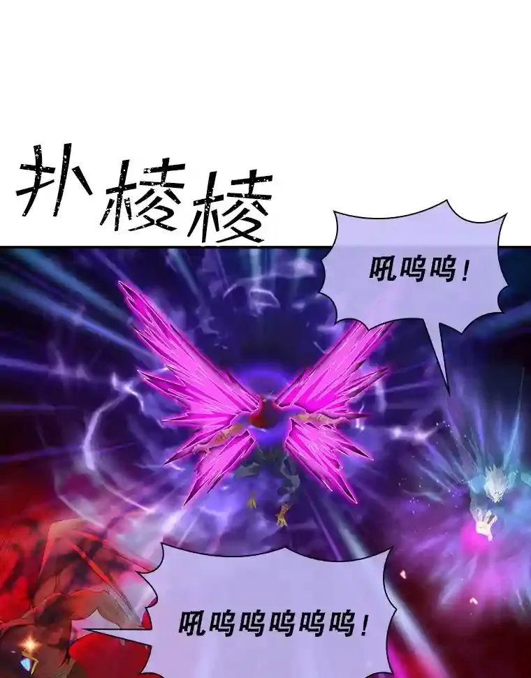 20.雷康鸡138