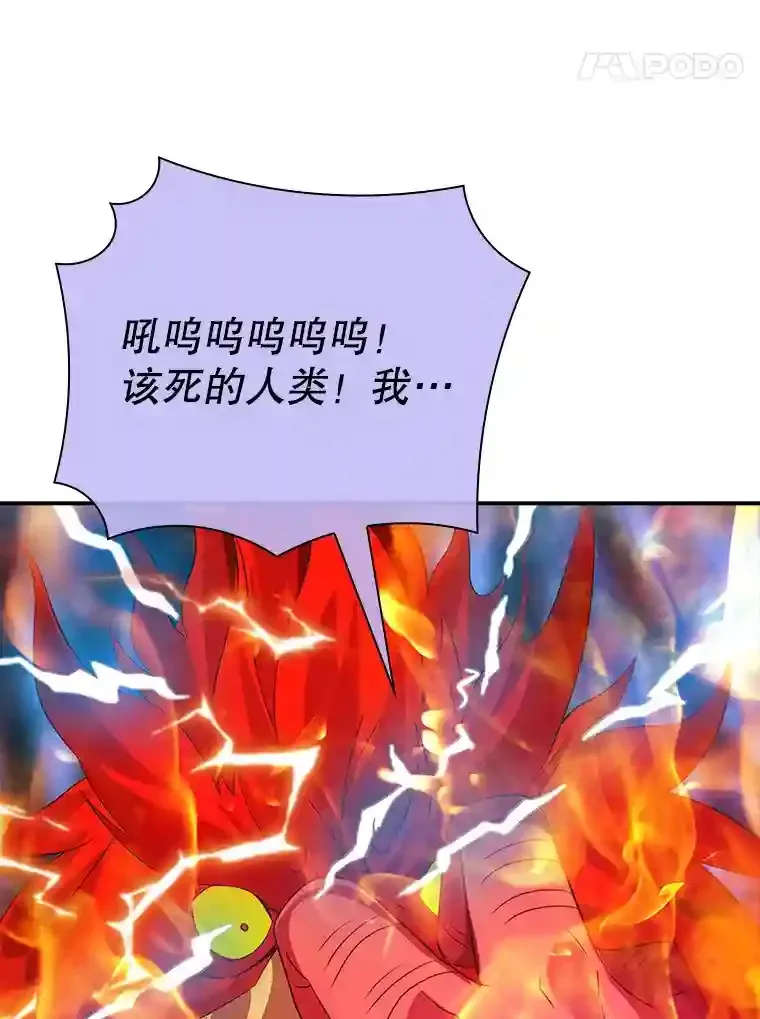 21.与雷康鸡之战116