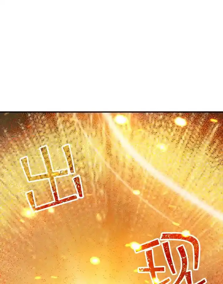 20.雷康鸡120
