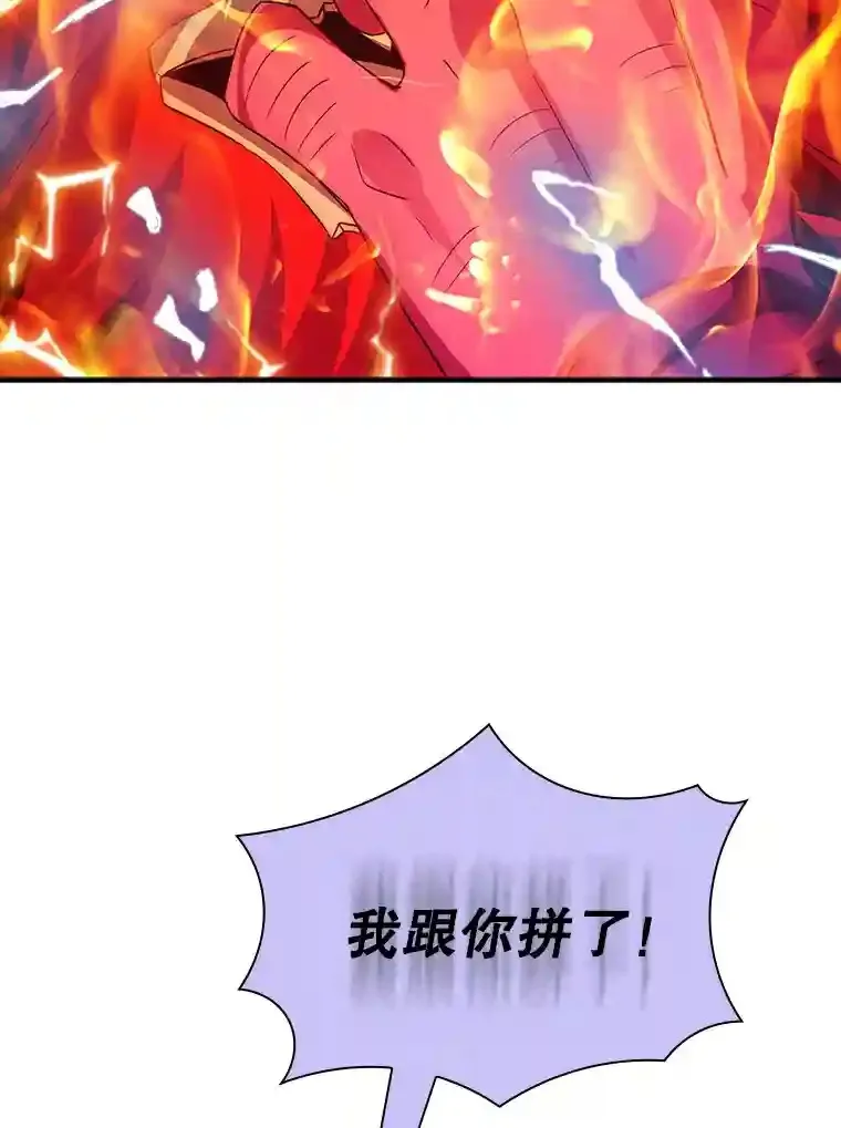21.与雷康鸡之战117
