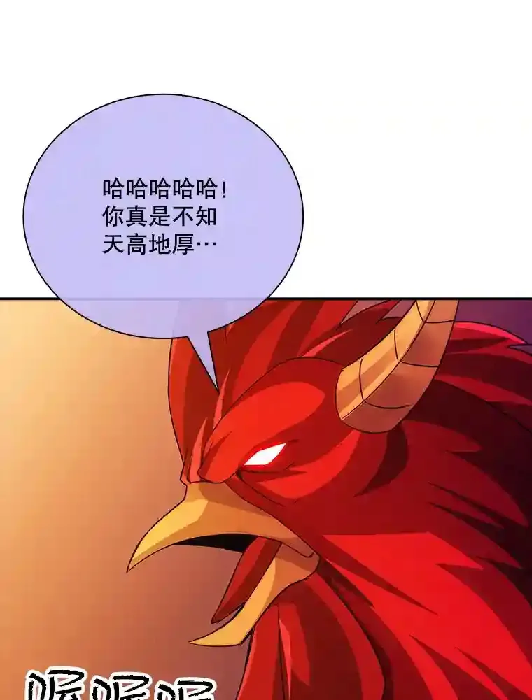 20.雷康鸡66