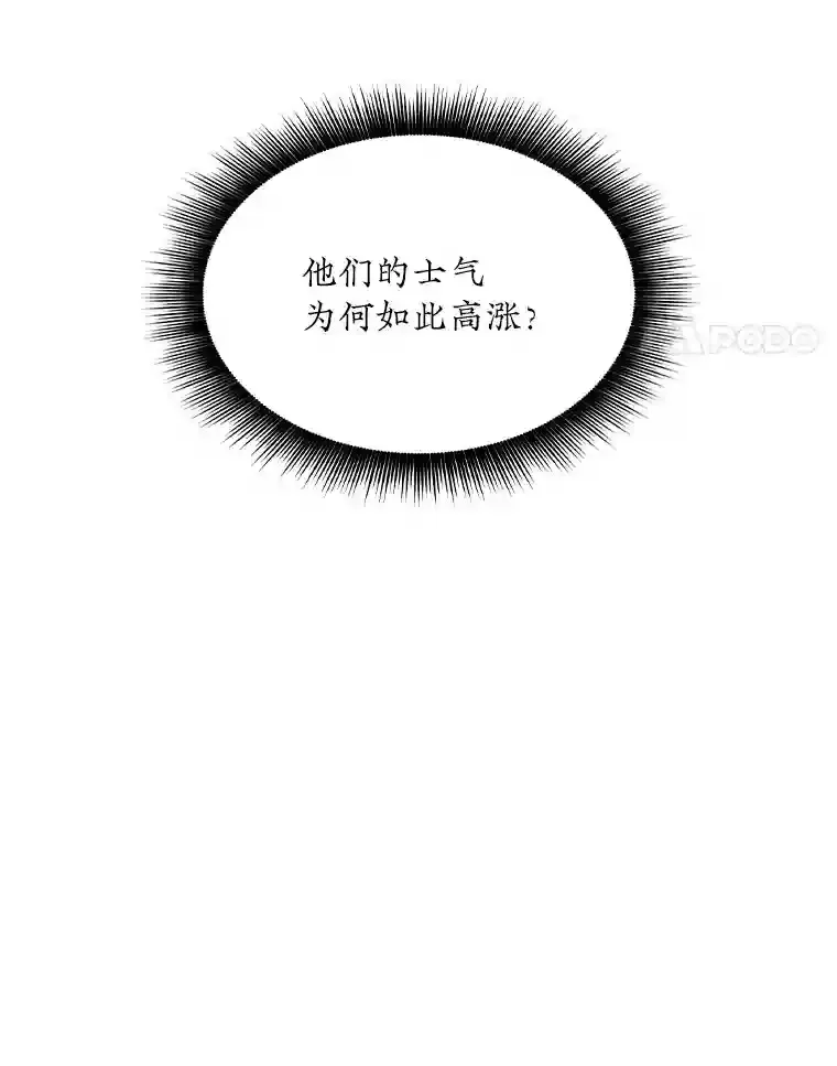 31.新江楠精英38