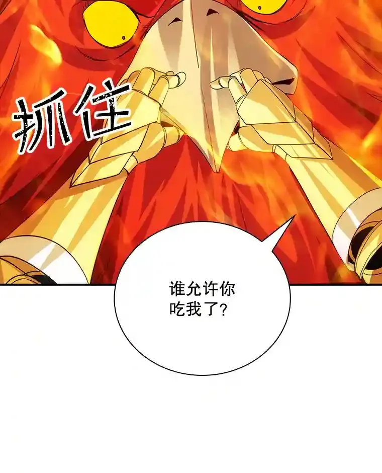 21.与雷康鸡之战105