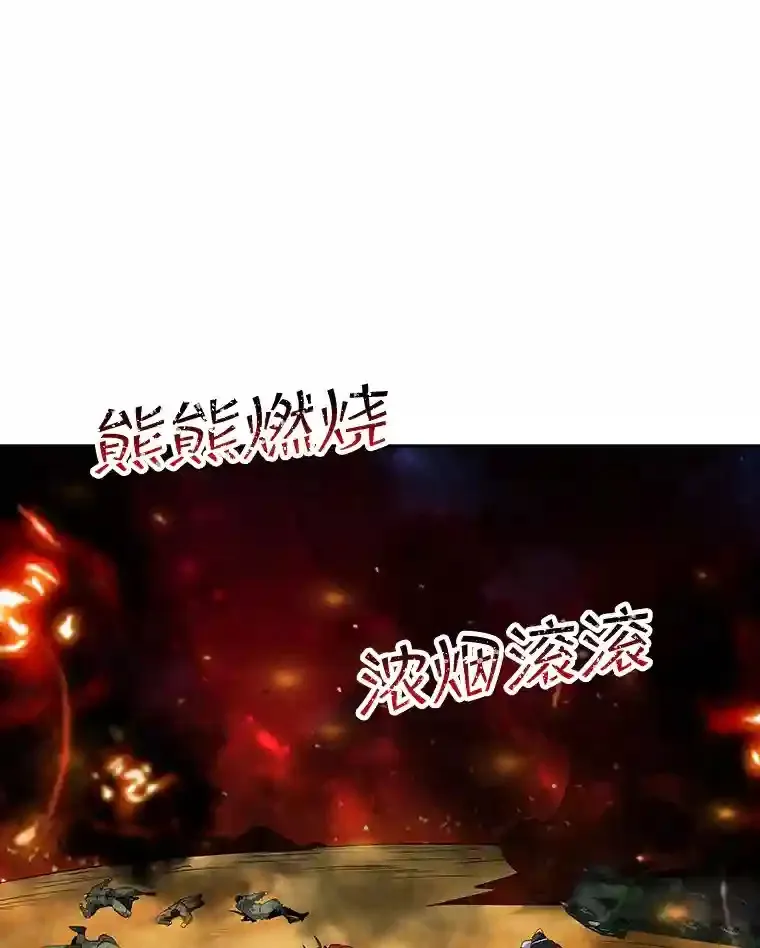 20.雷康鸡33