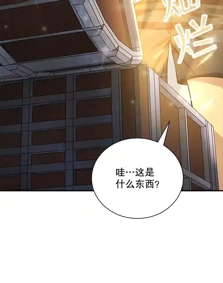 1.觉醒的机会106