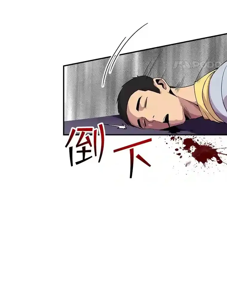 31.新江楠精英18