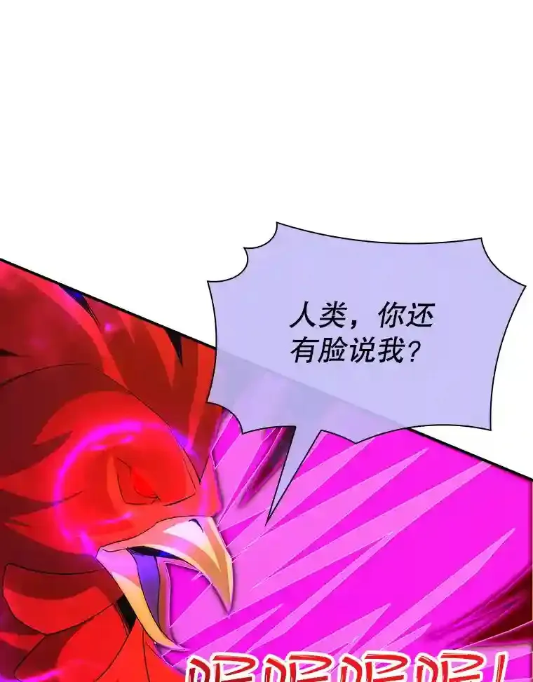 20.雷康鸡146