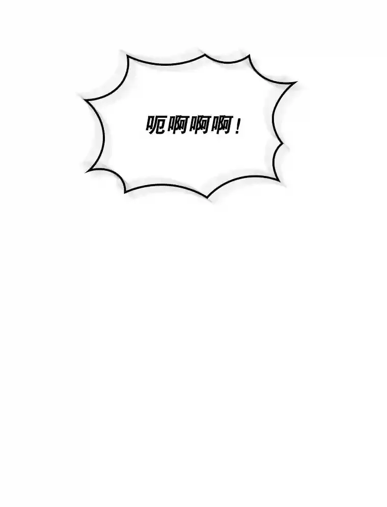 31.新江楠精英7