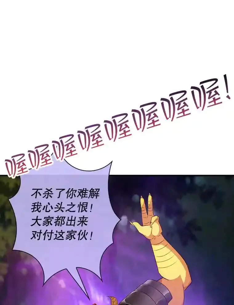 20.雷康鸡118